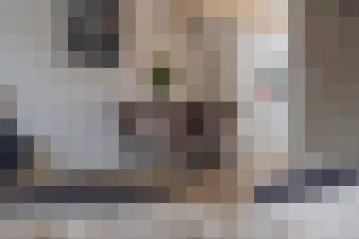 Flipje's Erf 18 Tiel thumbnail 19