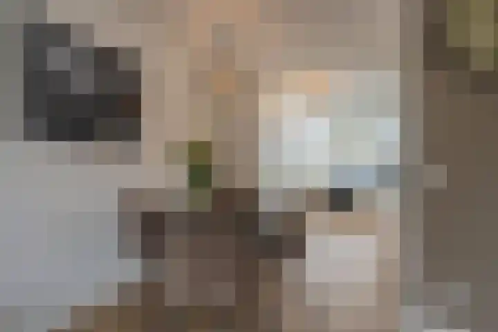 Flipje's Erf 18 Tiel thumbnail 22