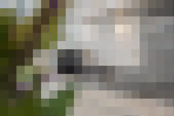 Flipje's Erf 18 Tiel thumbnail 23