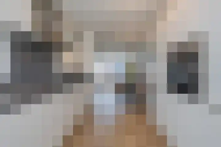 Flipje's Erf 18 Tiel thumbnail 27