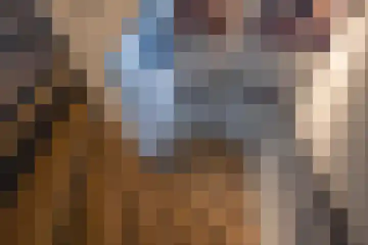 Flipje's Erf 18 Tiel thumbnail 28