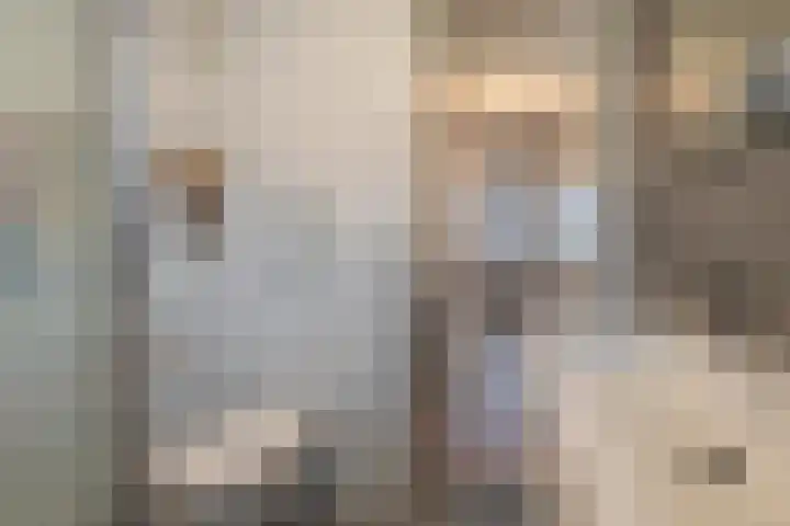 Flipje's Erf 18 Tiel thumbnail 30