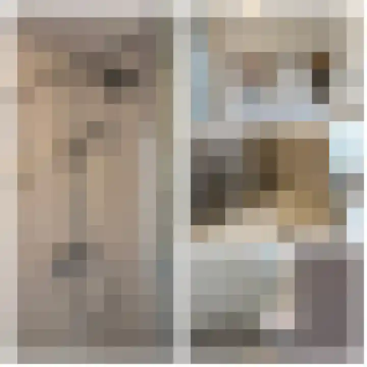 Flipje's Erf 18 Tiel thumbnail 31