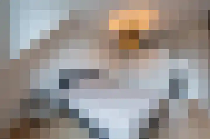 Flipje's Erf 18 Tiel thumbnail 35