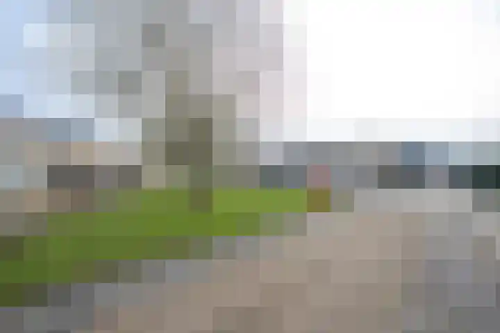 Flipje's Erf 18 Tiel thumbnail 4