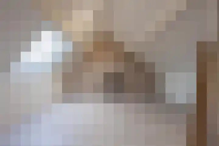 Flipje's Erf 18 Tiel thumbnail 41