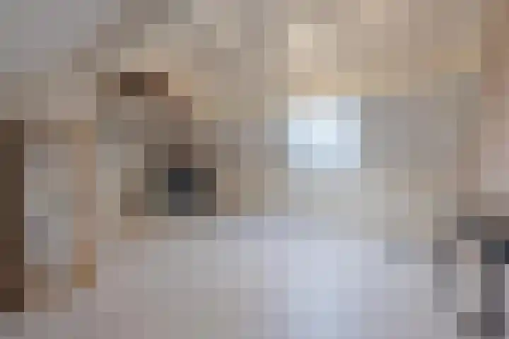 Flipje's Erf 18 Tiel thumbnail 43