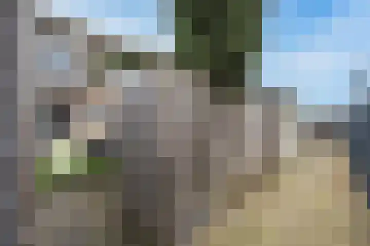 Flipje's Erf 18 Tiel thumbnail 50