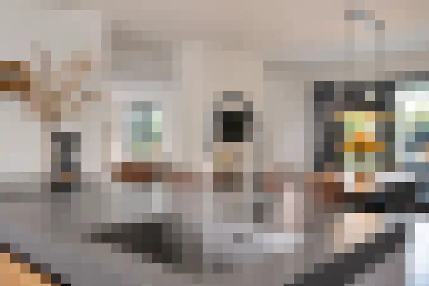 Flipje's Erf 22 a Tiel thumbnail 26