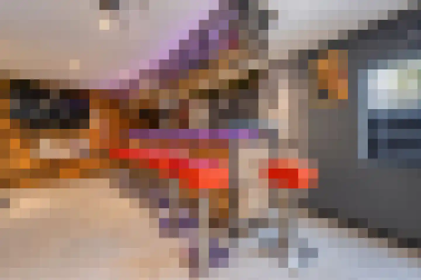 Flipje's Erf 22 a Tiel thumbnail 47