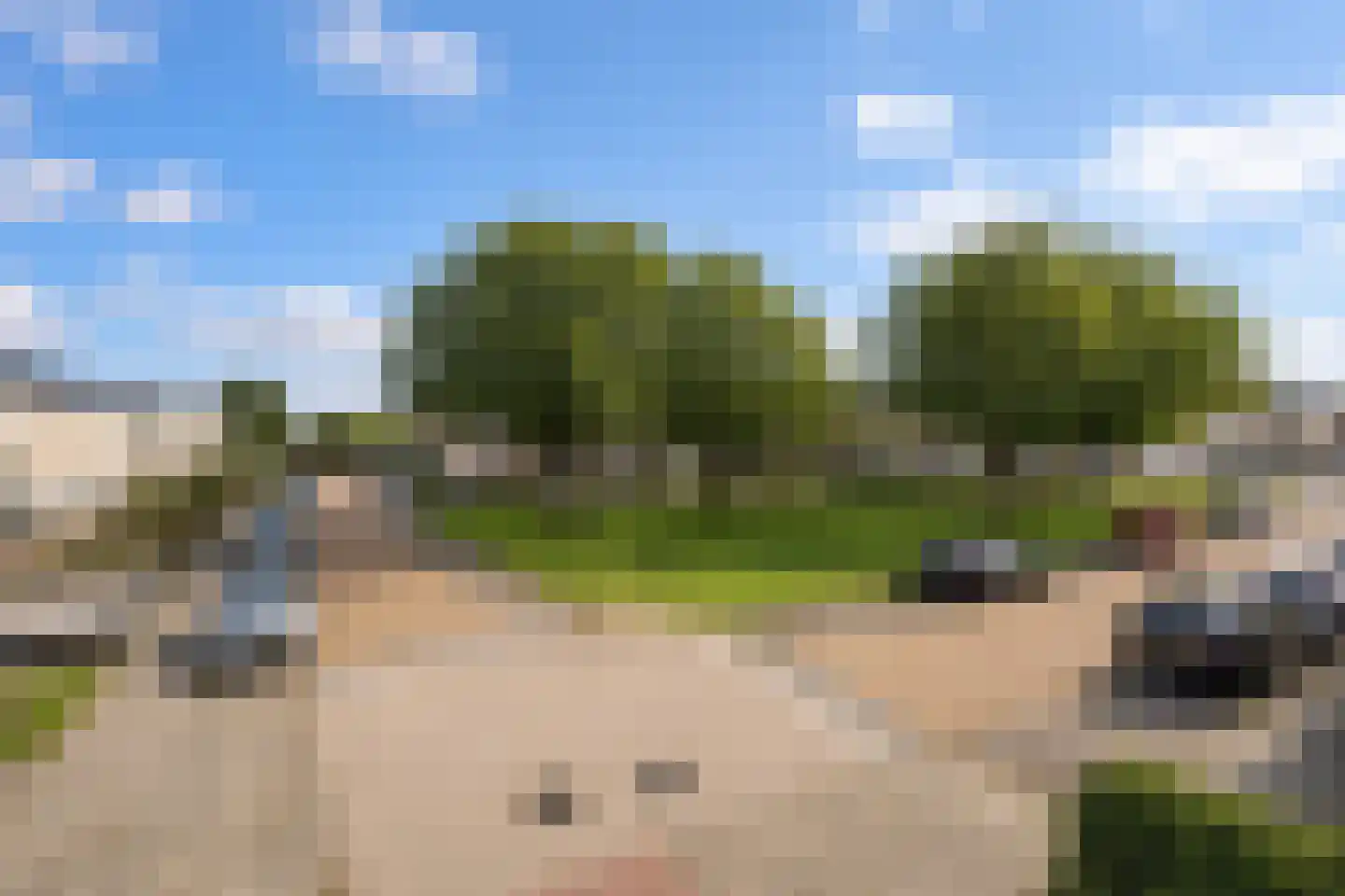 Flipje's Erf 22 a Tiel thumbnail 5