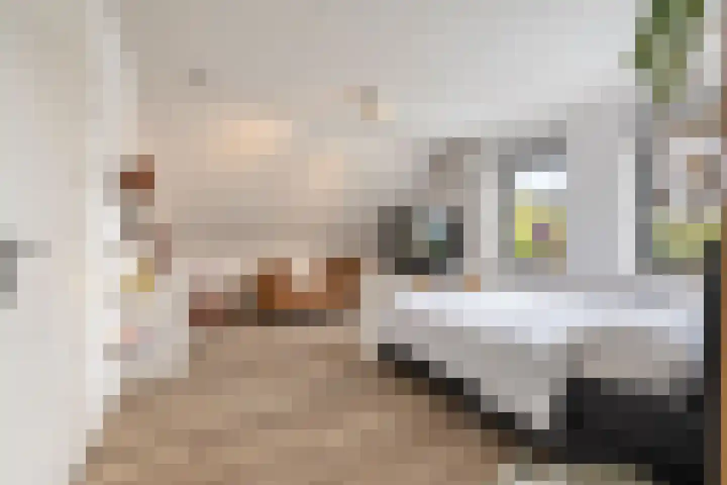 Flipje's Erf 22 a Tiel thumbnail 58