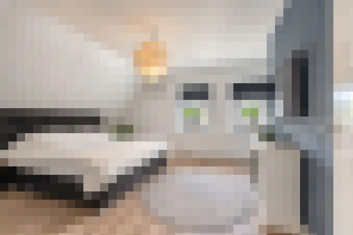 Flipje's Erf 22 a Tiel thumbnail 60