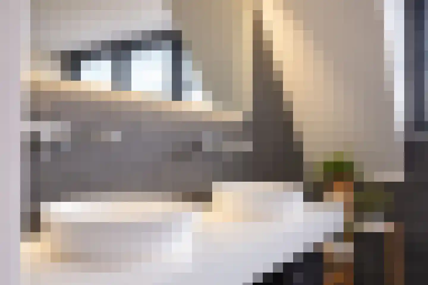 Flipje's Erf 22 a Tiel thumbnail 65