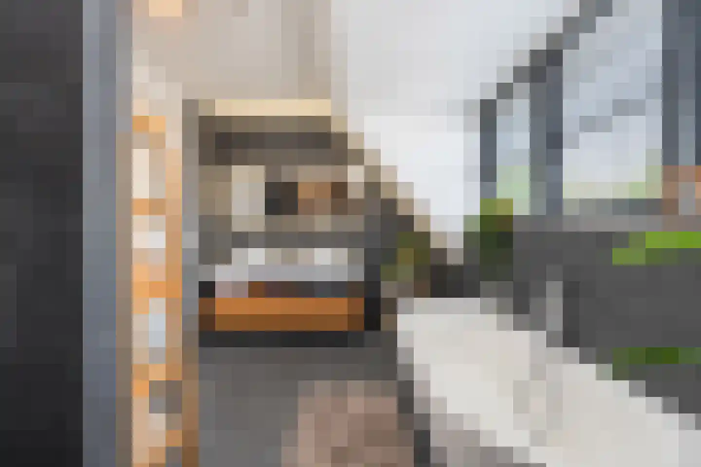 Flipje's Erf 22 a Tiel thumbnail 68