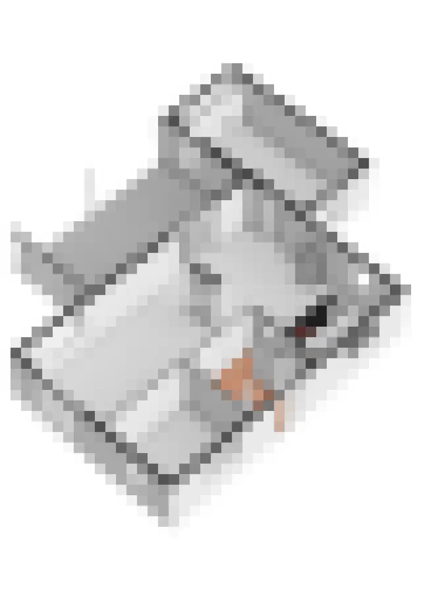 Flipje's Erf 22 a Tiel thumbnail 72