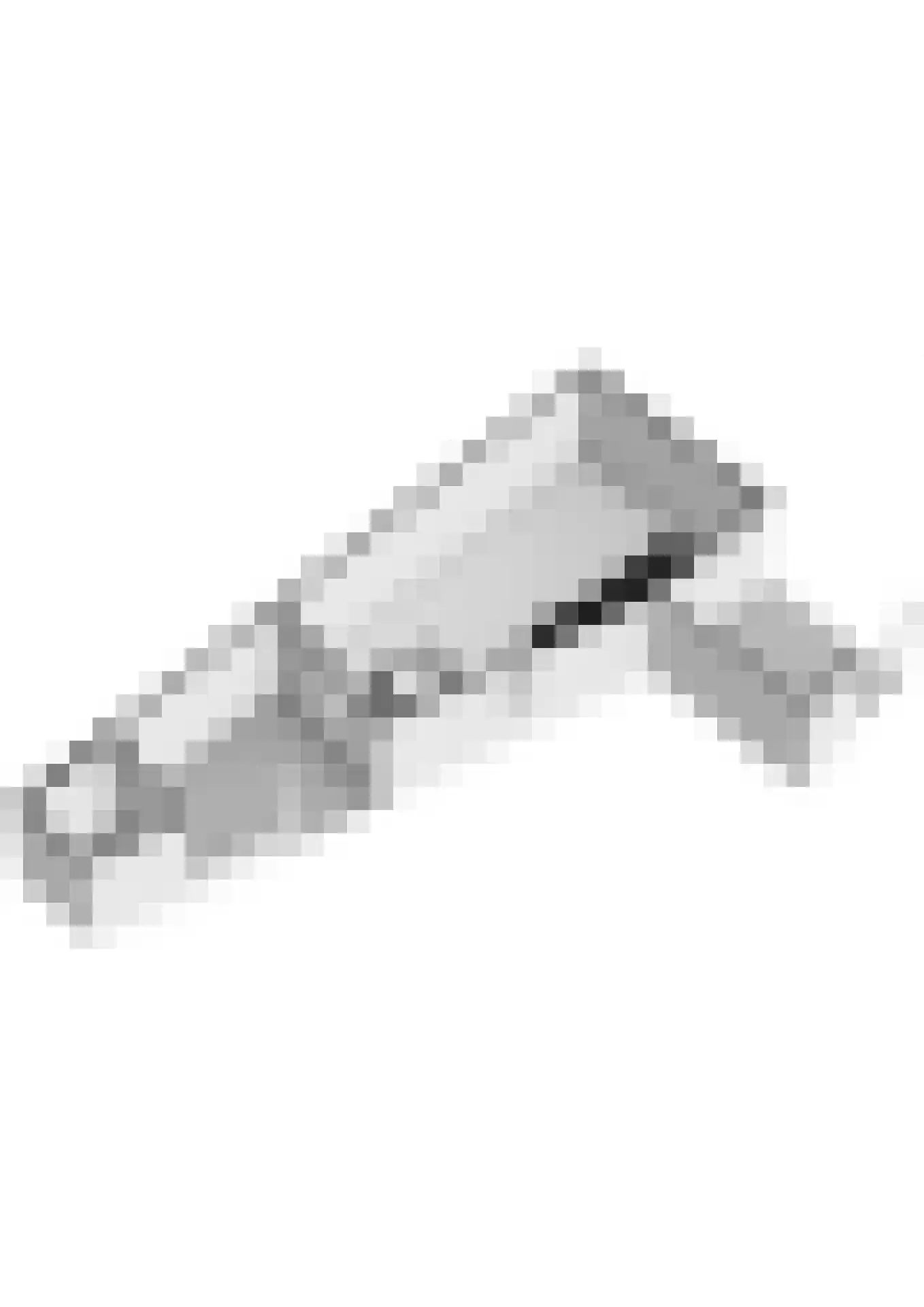 Flipje's Erf 22 a Tiel thumbnail 78
