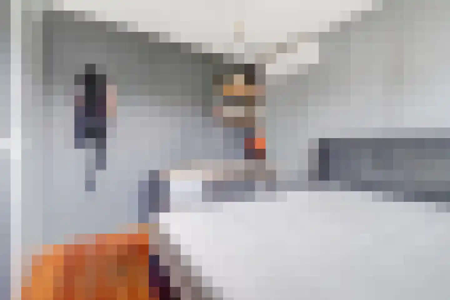 Flipje's Erf 24 Tiel thumbnail 20