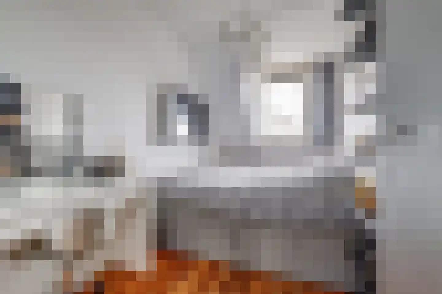 Flipje's Erf 24 Tiel thumbnail 23