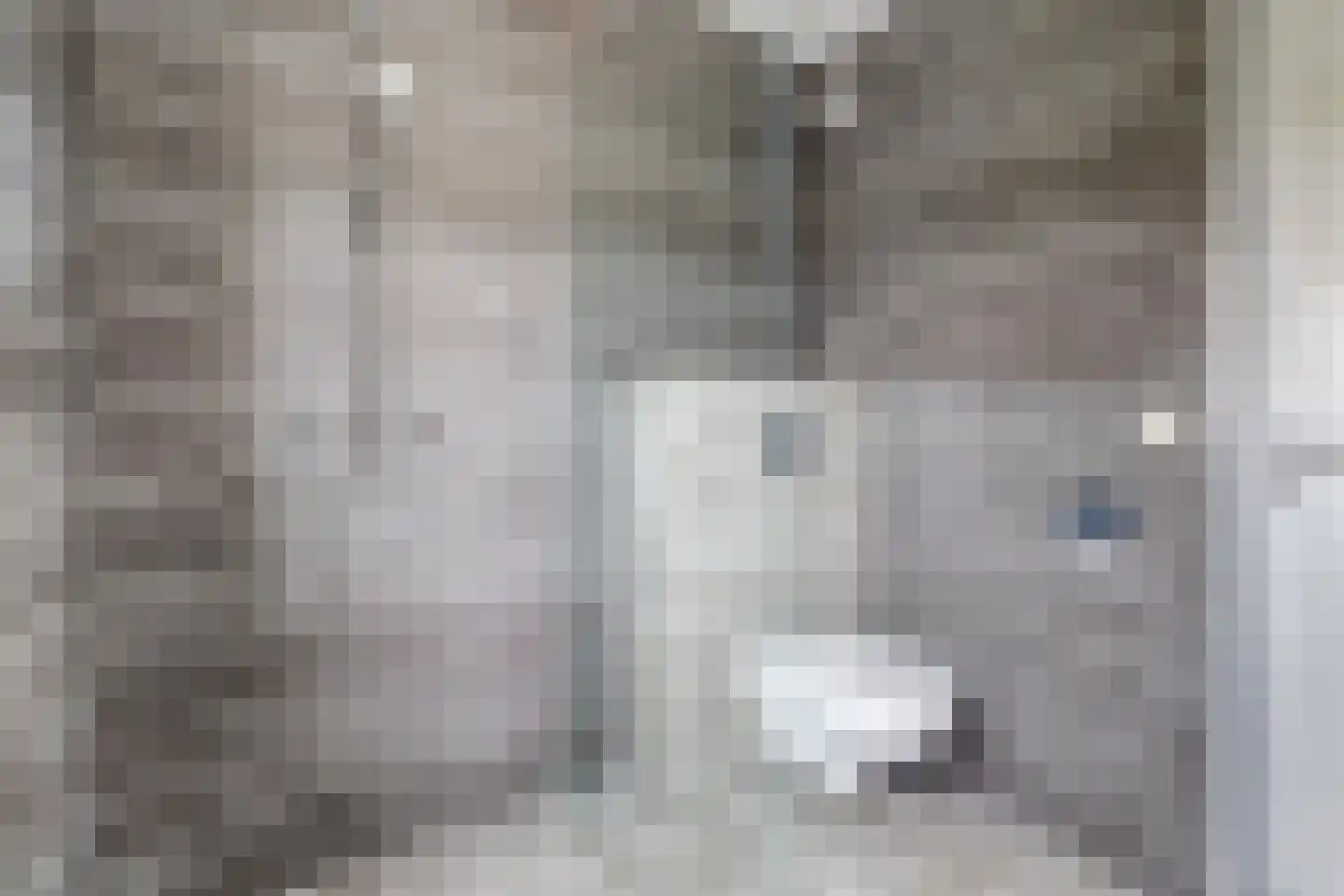 Flipje's Erf 24 Tiel thumbnail 26