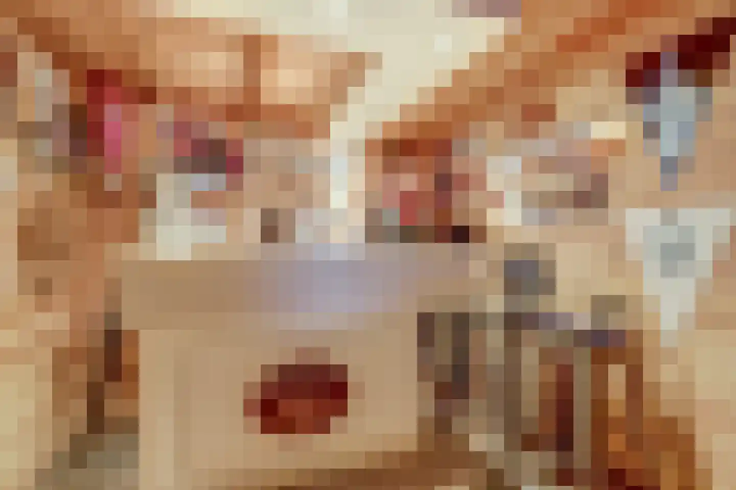 Flipje's Erf 24 Tiel thumbnail 37