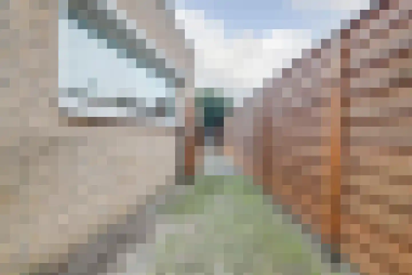 Flipje's Erf 24 Tiel thumbnail 40