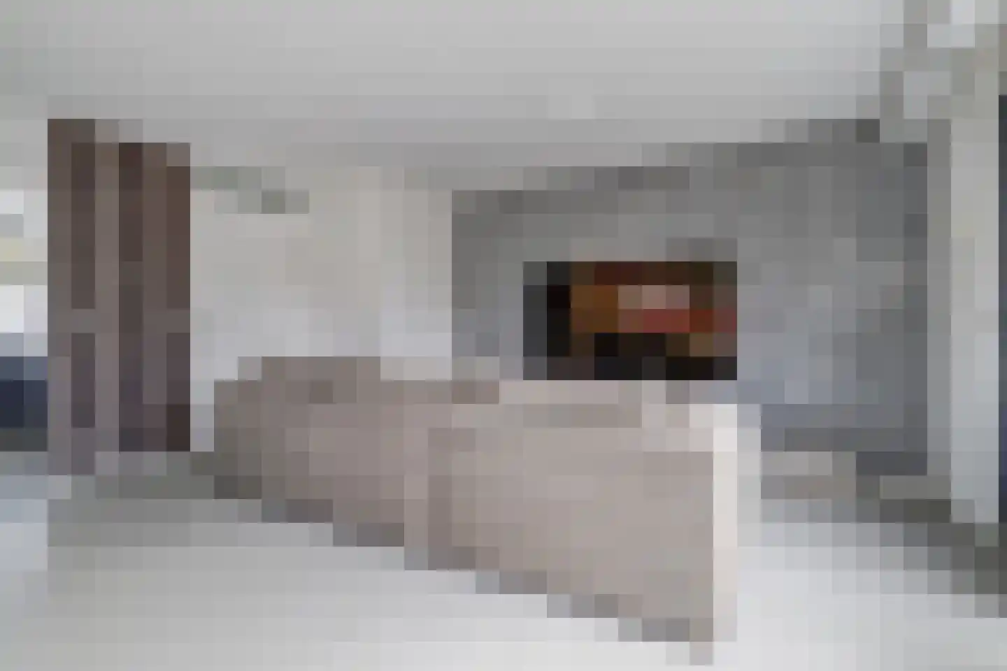 Flipje's Erf 24 Tiel thumbnail 5