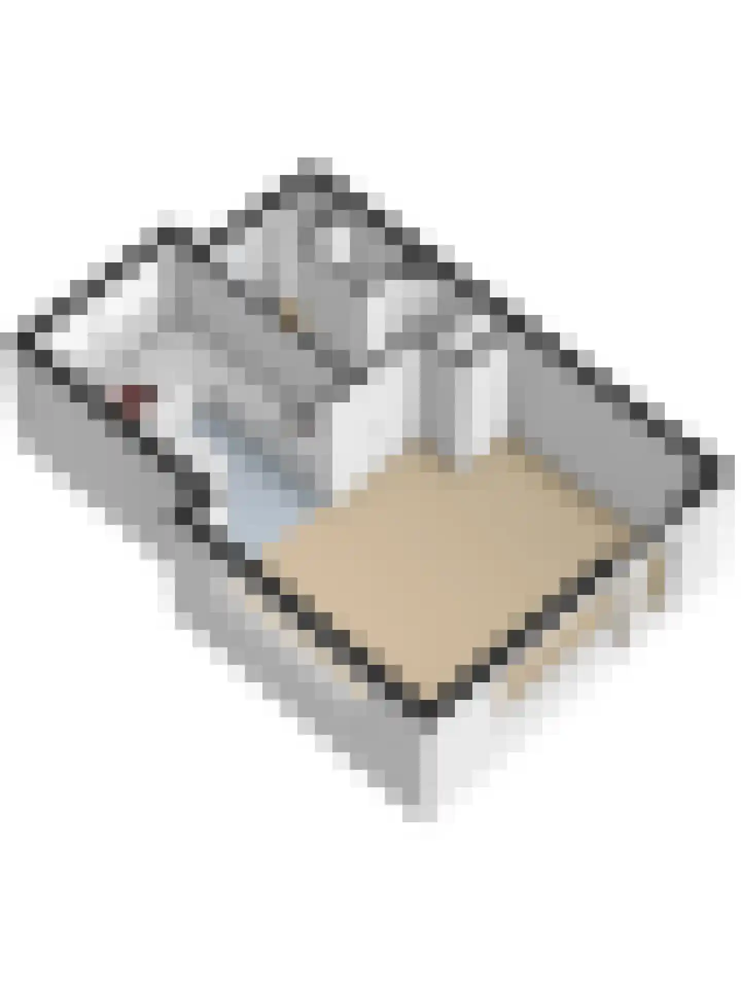 Flipje's Erf 24 Tiel thumbnail 50