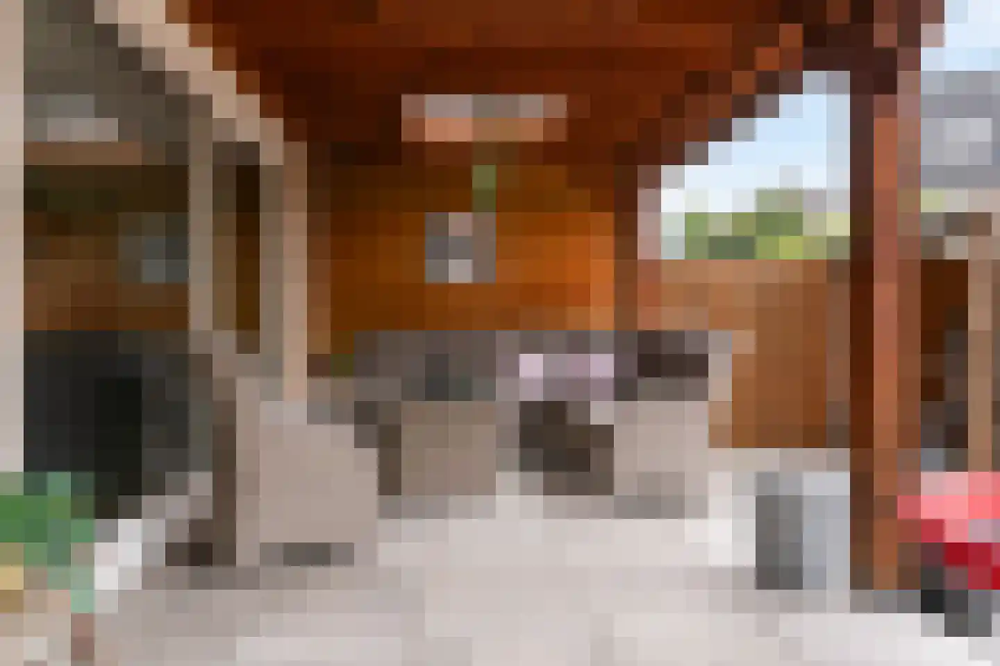 Flipje's Erf 42 Tiel thumbnail 21