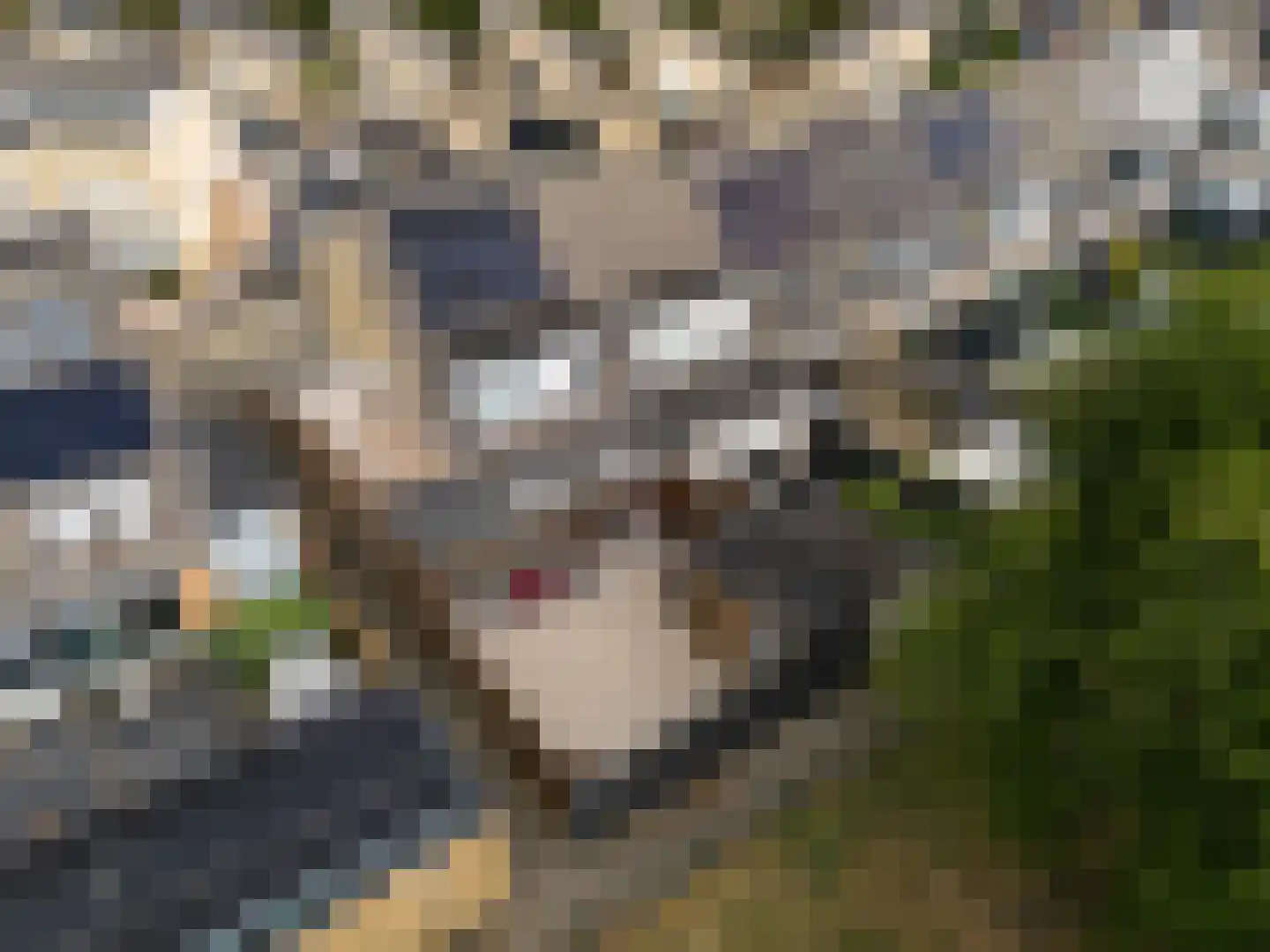 Flipje's Erf 42 Tiel thumbnail 25