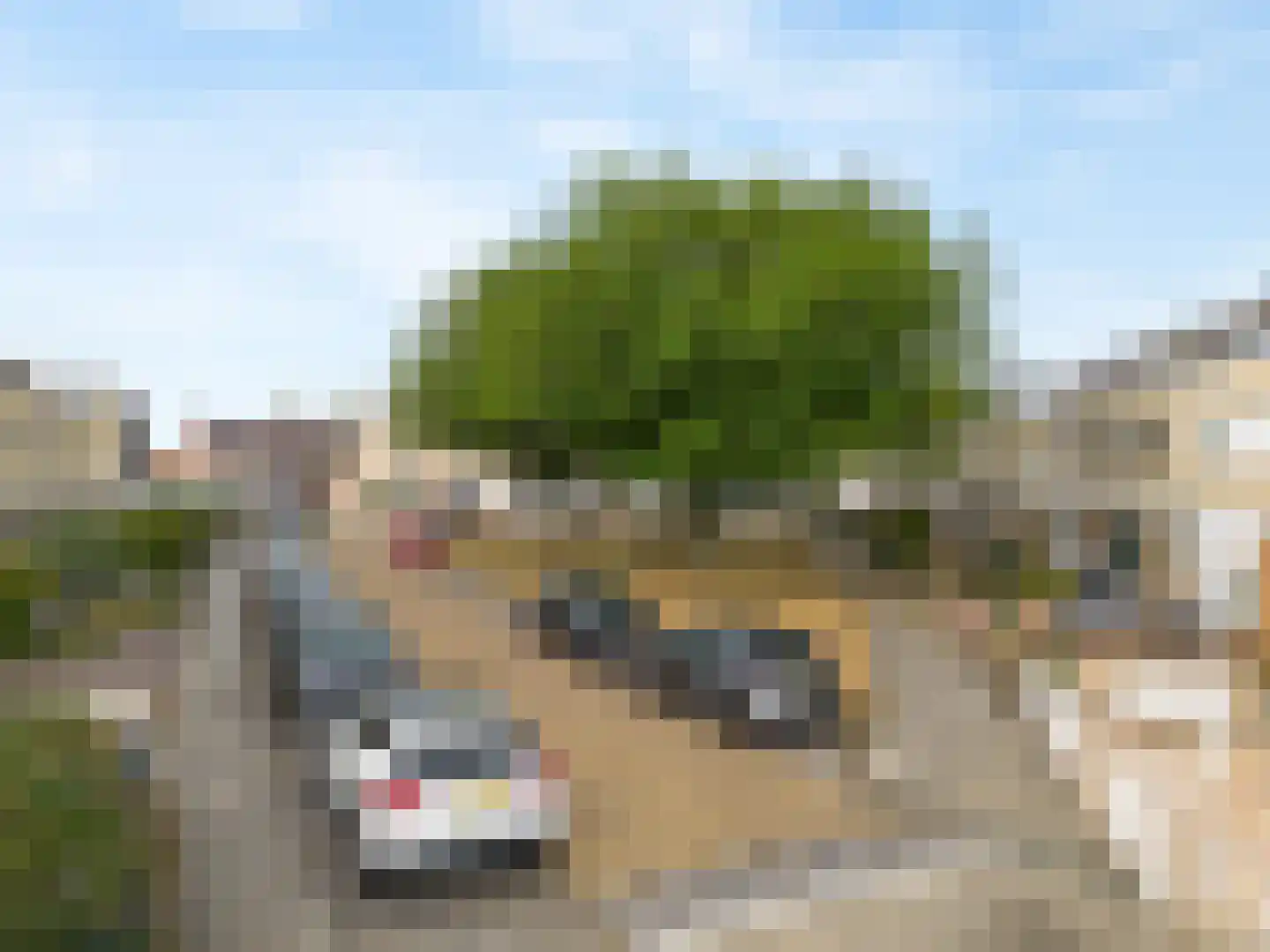 Flipje's Erf 42 Tiel thumbnail 27