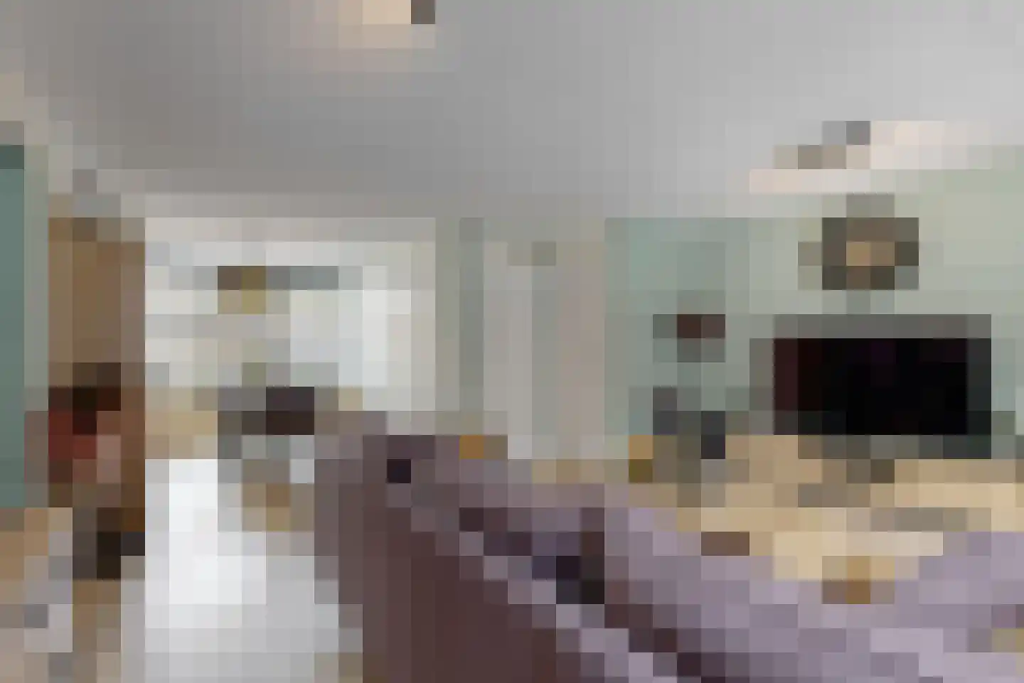 Flipje's Erf 42 Tiel thumbnail 5