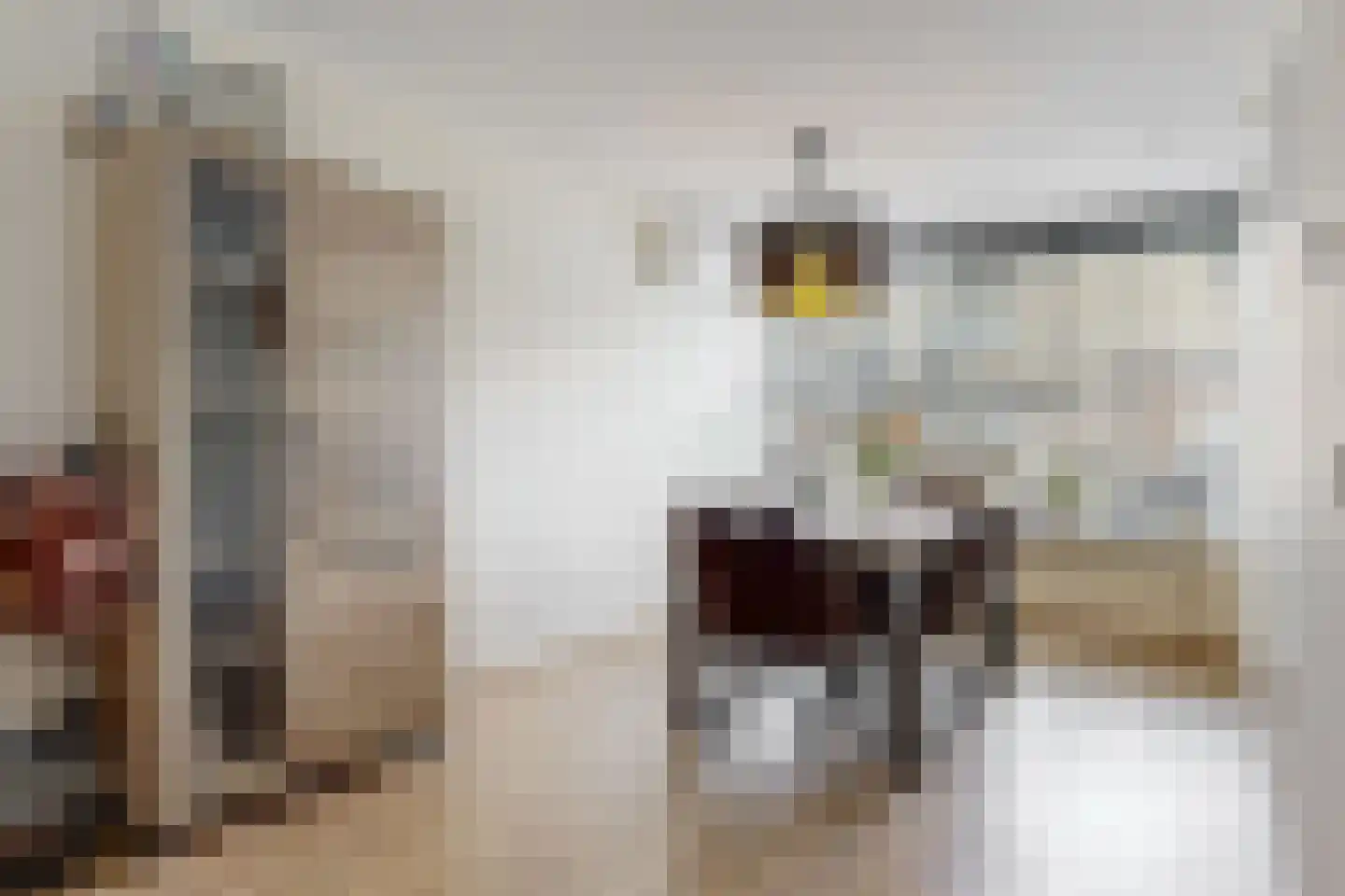Flipje's Erf 42 Tiel thumbnail 6