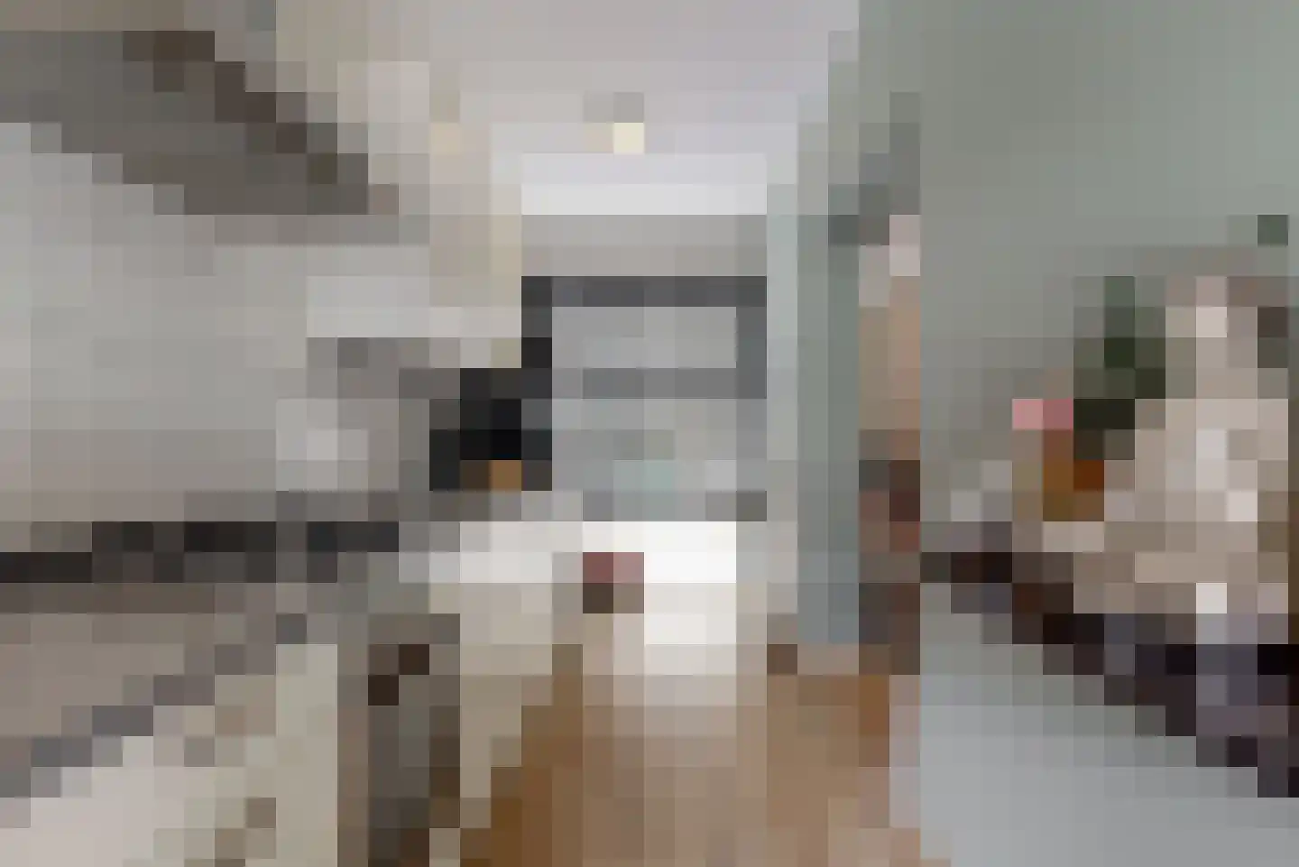 Flipje's Erf 42 Tiel thumbnail 8