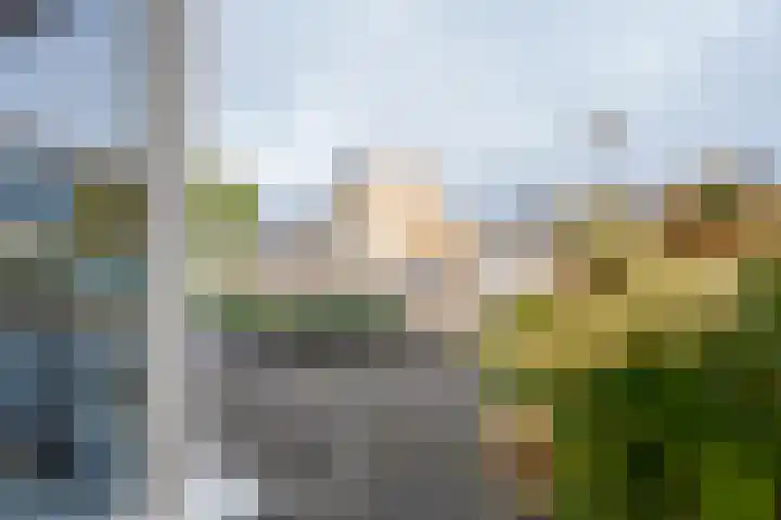 Flipje's Erf 44 Tiel thumbnail 11