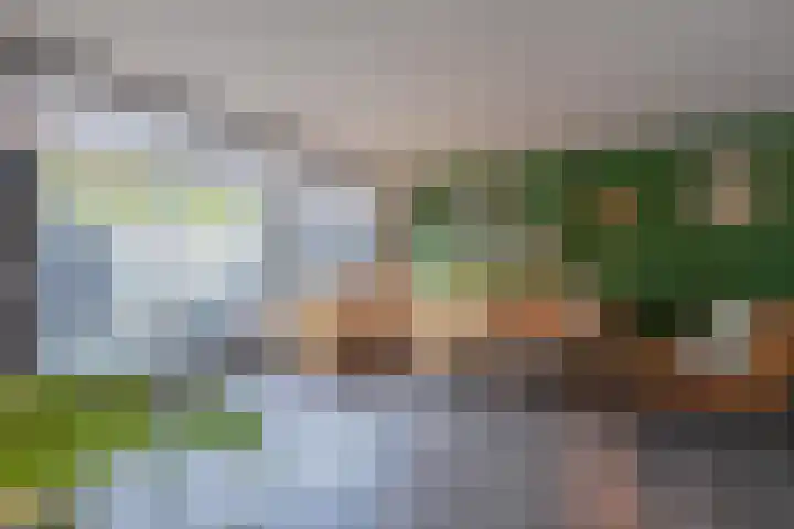 Flipje's Erf 44 Tiel thumbnail 15