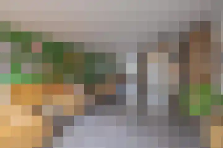 Flipje's Erf 44 Tiel thumbnail 16