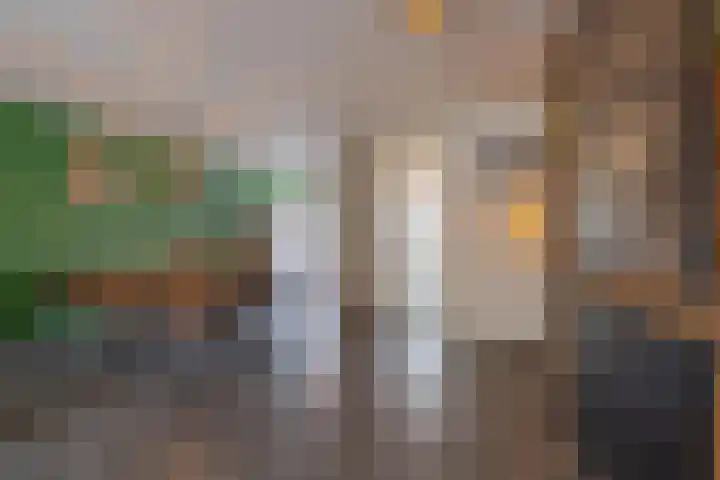Flipje's Erf 44 Tiel thumbnail 17