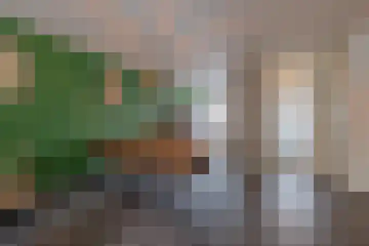 Flipje's Erf 44 Tiel thumbnail 18