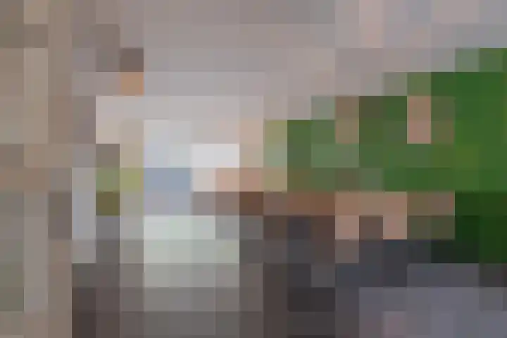 Flipje's Erf 44 Tiel foto 2