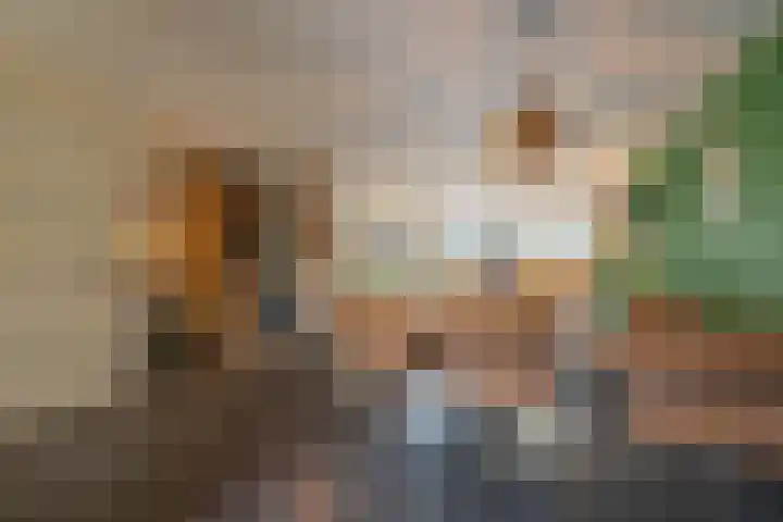 Flipje's Erf 44 Tiel thumbnail 20