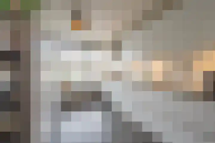 Flipje's Erf 44 Tiel thumbnail 23