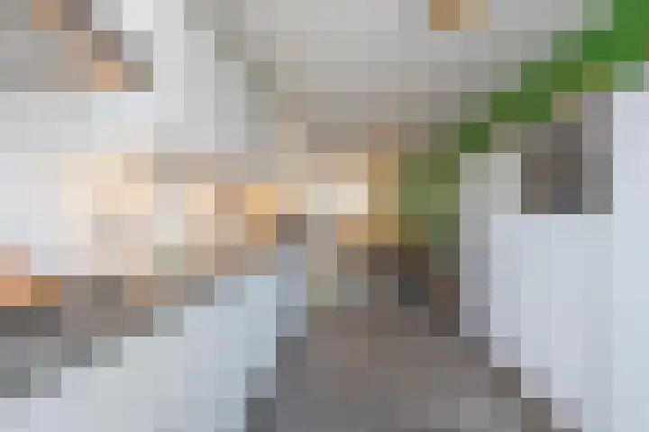 Flipje's Erf 44 Tiel thumbnail 26