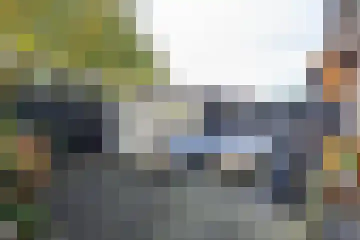 Flipje's Erf 44 Tiel thumbnail 28