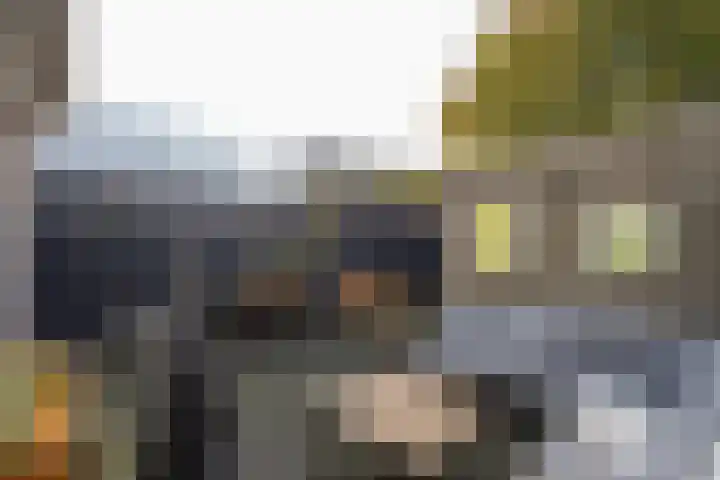 Flipje's Erf 44 Tiel thumbnail 30