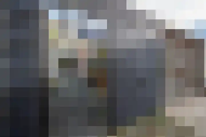 Flipje's Erf 44 Tiel thumbnail 34