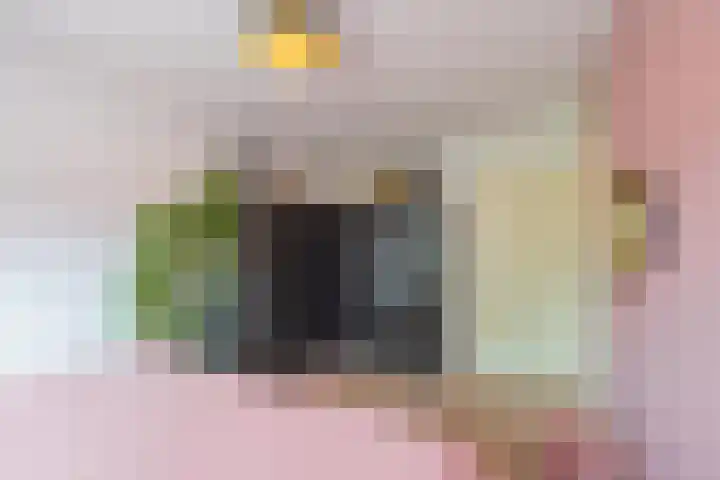 Flipje's Erf 44 Tiel thumbnail 39