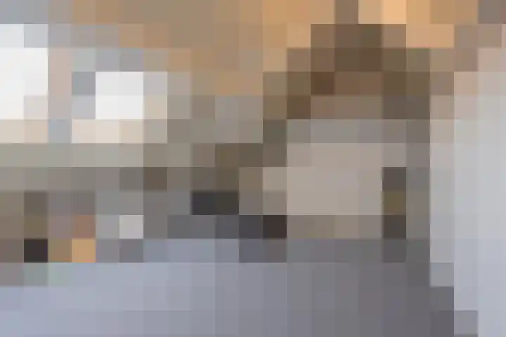 Flipje's Erf 44 Tiel thumbnail 47