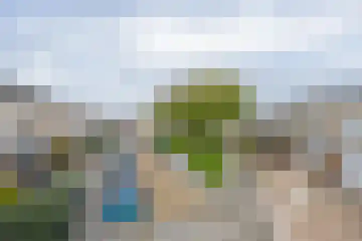 Flipje's Erf 44 Tiel thumbnail 5