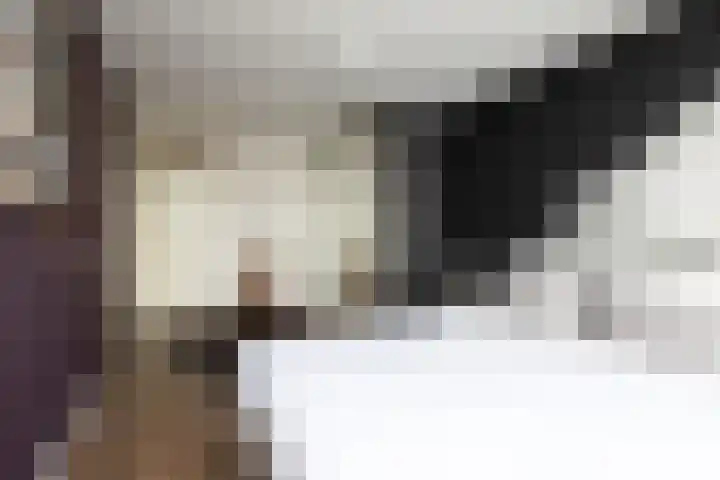 Flitsstraat 32 Sneek thumbnail 13